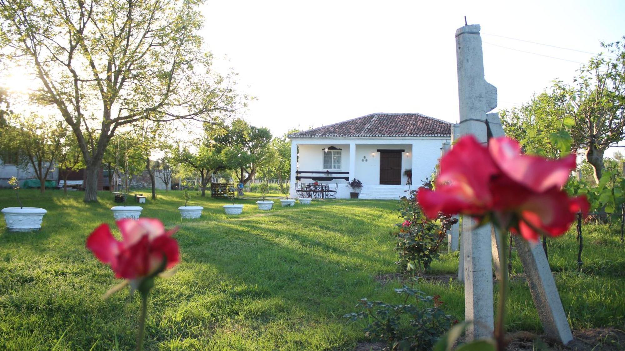 "Per Mik" Cottage In Vineyard ชโคเดอร์ ภายนอก รูปภาพ