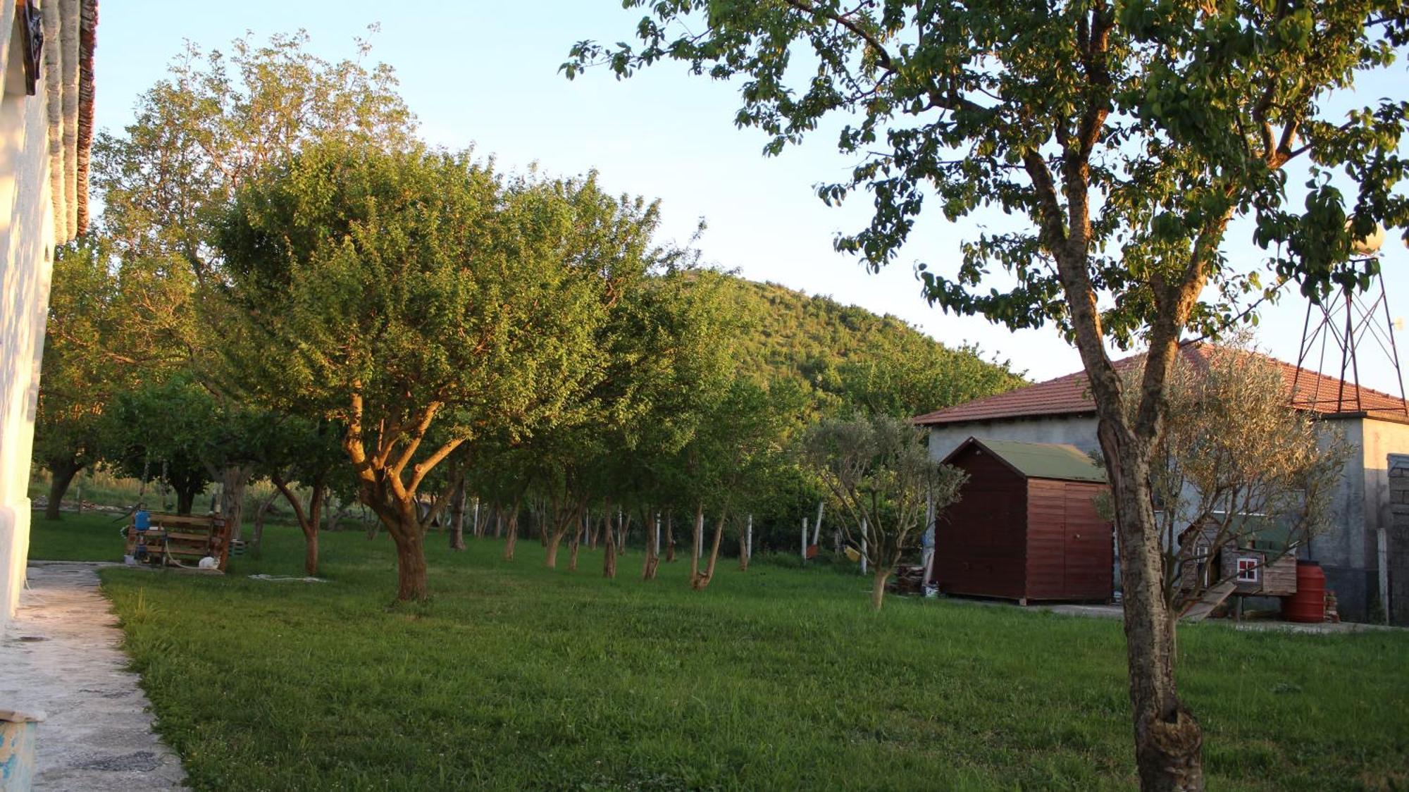 "Per Mik" Cottage In Vineyard ชโคเดอร์ ภายนอก รูปภาพ